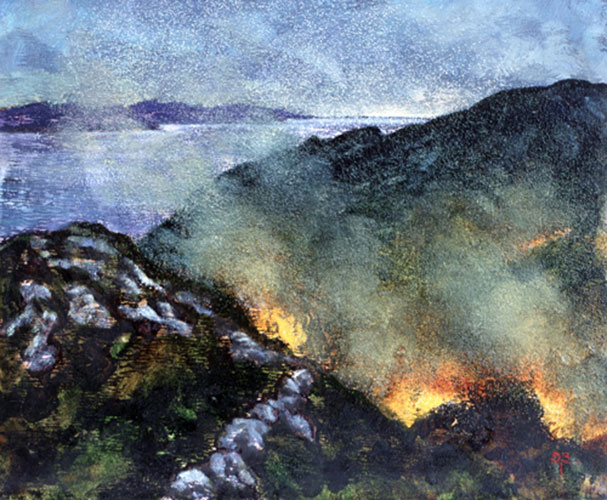 Beara Fires